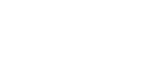 wysstec-partner-logo